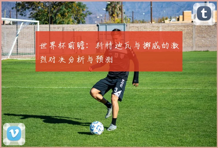 世界杯前瞻：科特迪瓦与挪威的激烈对决分析与预测