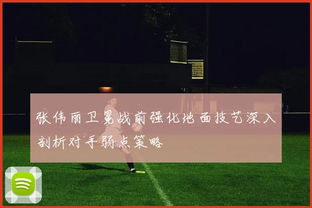张伟丽卫冕战前强化地面技艺深入剖析对手弱点策略